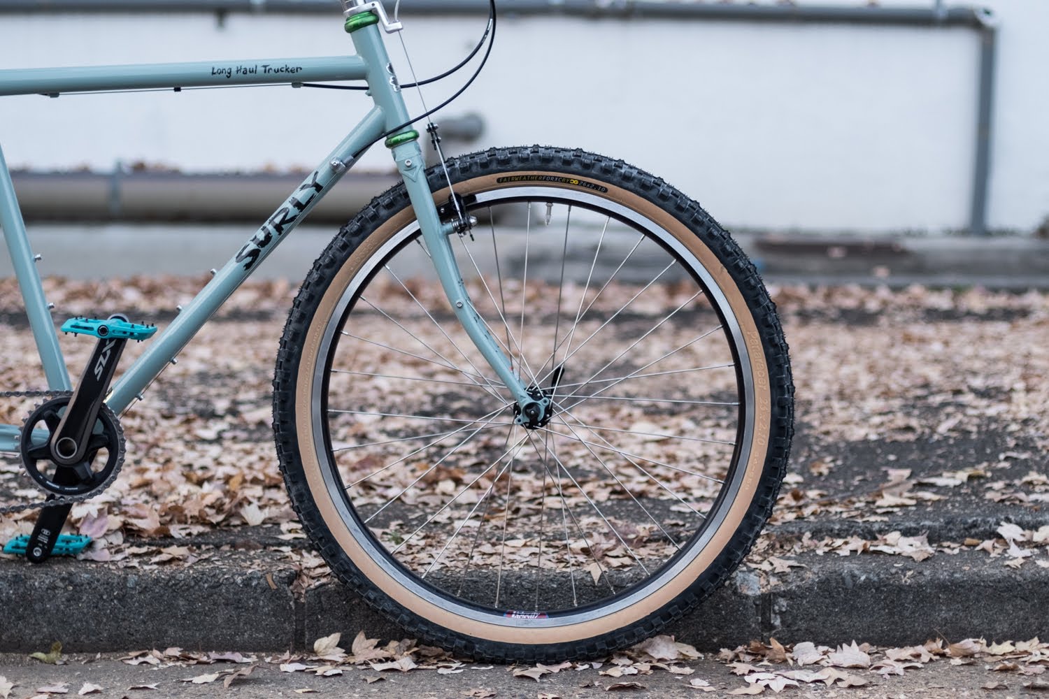 たとえ絶滅危惧種と言われても！ | Circles／名古屋の自転車屋サークルズ