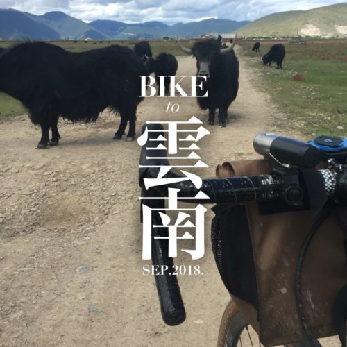 中国の雲南省を自転車で走ってみた – BIKE to 雲南
