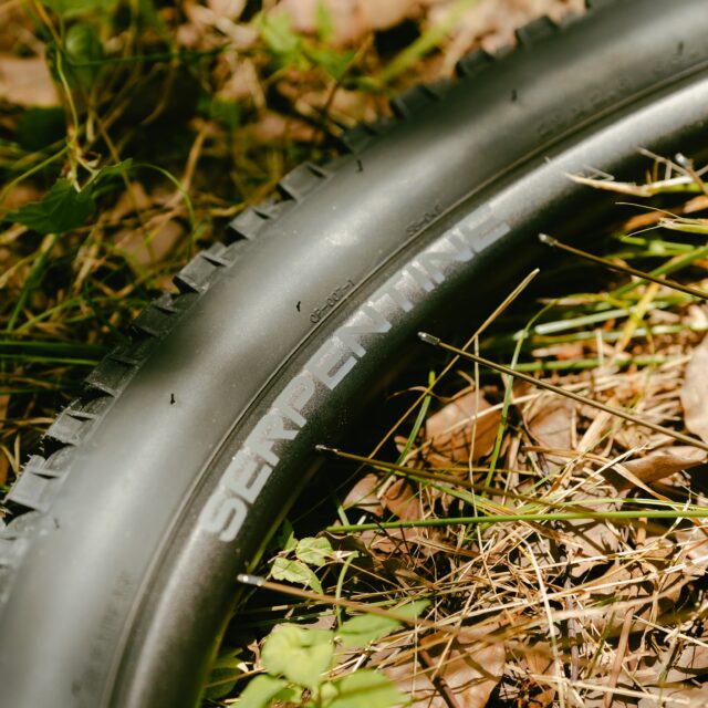 【ASTRAL CYCLING】 SKLAR PBJにベストマッチな Serpentine Rim