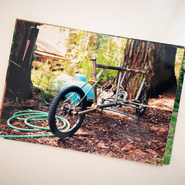 受け継がれること ― HunterからLarkin、そしてClydesdaleへ