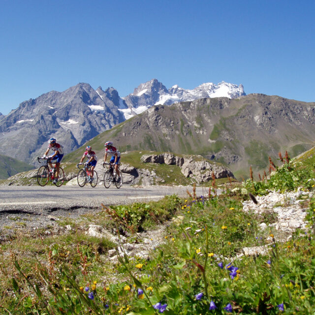 フランスのサイクリング : 主にスポーツ