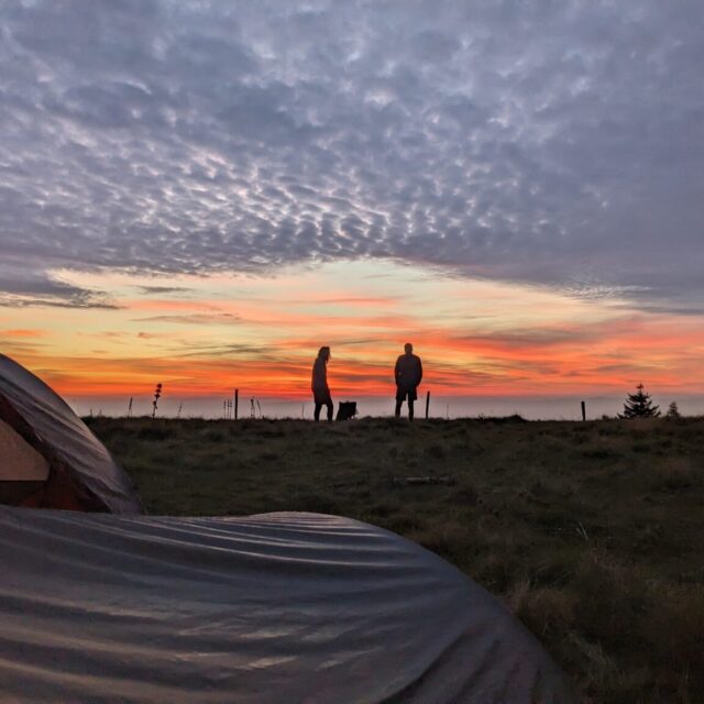 サイクリング、あるいは人生のシンプルな喜びに感謝する方法